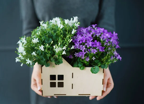 Bel Bouquet Nelle Mani Della Donna — Foto Stock