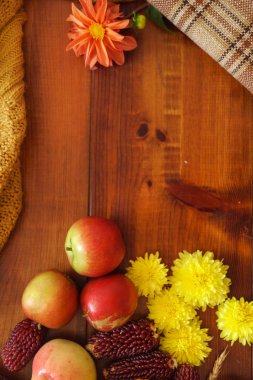 taze sebze ile sonbahar konsepti