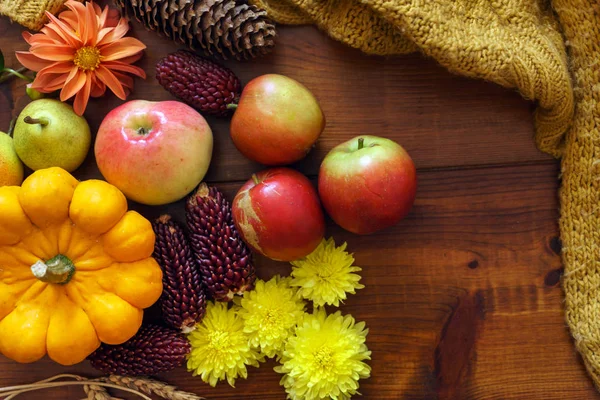 Осенняя Концепция Свежими Овощами — стоковое фото