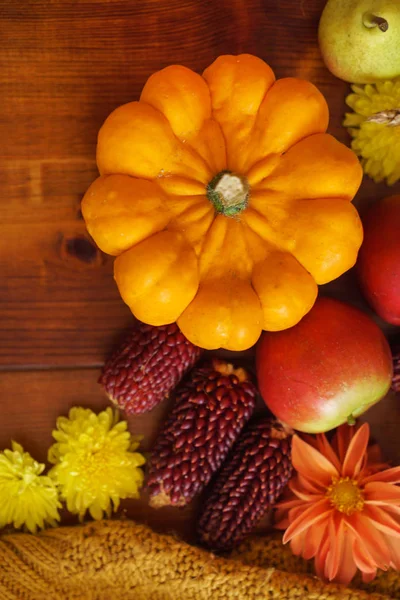 Autumn Concept Fresh Vegetables — Stock Photo, Image