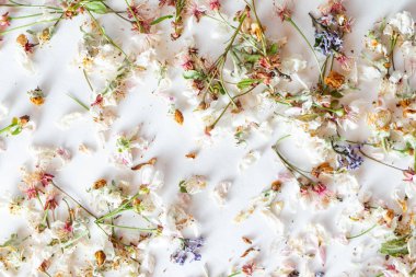 kurutulmuş elma ve kiraz çiçekleri