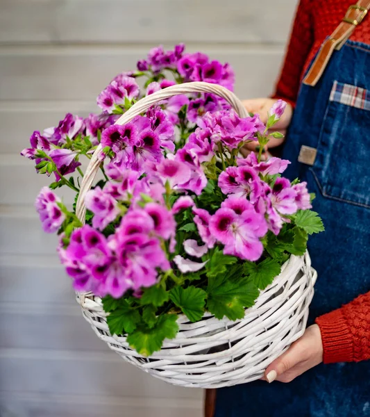 Mooi Boeket Handen Van Vrouw — Stockfoto