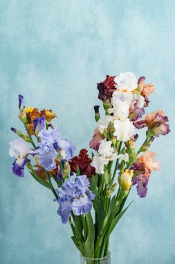 Renkli taze süsen demet, yakın çekim