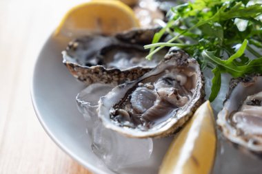 buz üzerinde istiridye, yakın çekim