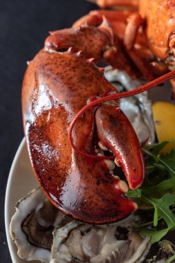 ıstakoz pişmiş, yakın çekim