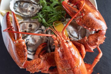 ıstakoz pişmiş, yakın çekim