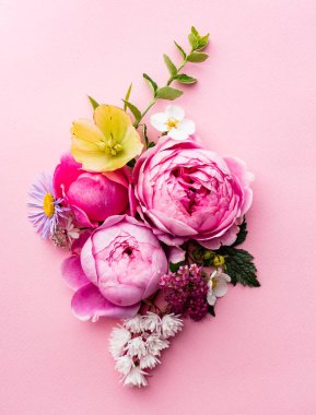 güzel yaz çiçek, yakın çekim