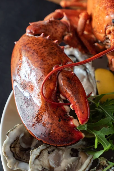 Cooked Lobster Close — Stock Photo, Image