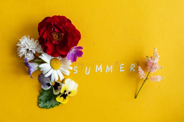 Schöne Sommerblumen Aus Nächster Nähe — Stockfoto