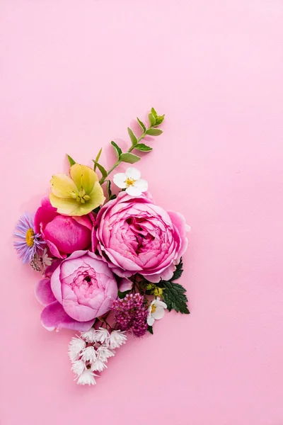 Bonitas Flores Verano Cerca — Foto de Stock