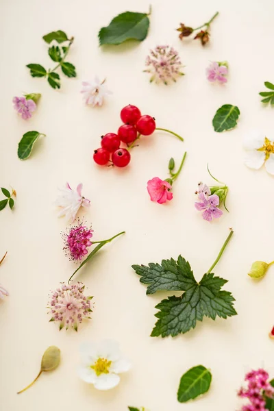 Nyári Virágok Levelek Közelről — Stock Fotó