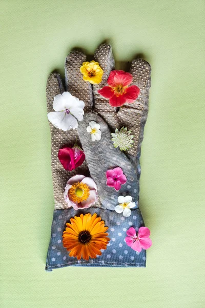 Flowers Garden Gloves — Stock Photo, Image
