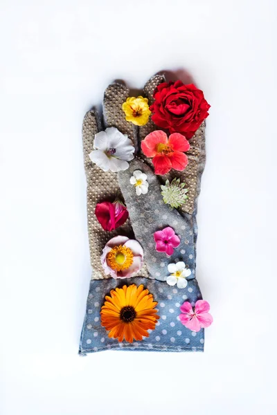 Flowers Garden Gloves — Stock Photo, Image