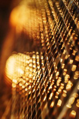 açık renkli yakın çekim