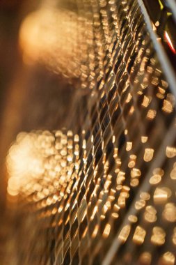 açık renkli yakın çekim