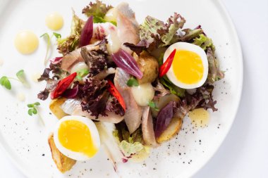 Ringa balığı salatası yakın çekim