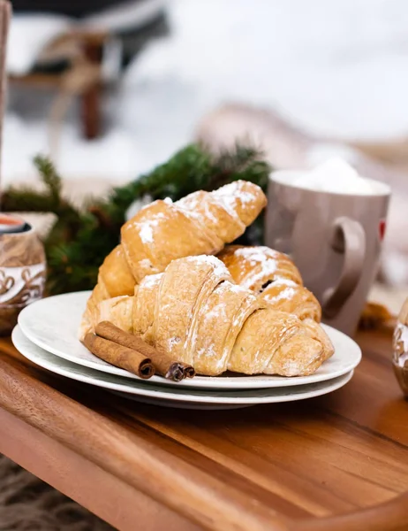 Winter Picnic Forest Close — Stock Photo, Image