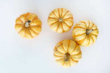 beyaz zemin üzerine kabaklar