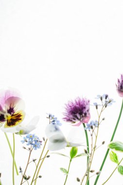 Beyaz üzerine yaz çiçek