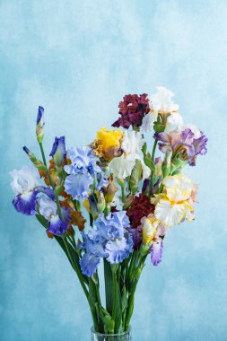 renkli süsen demet, yakın çekim