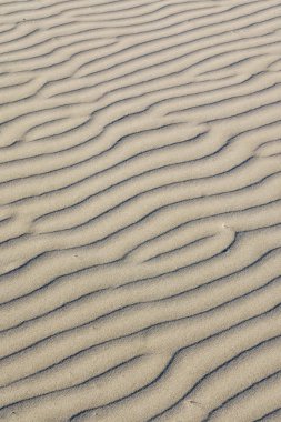 Kum arka plan yakın çekim