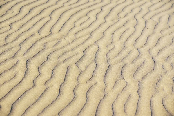 Άμμο Φόντο Κοντινό Πλάνο — Φωτογραφία Αρχείου