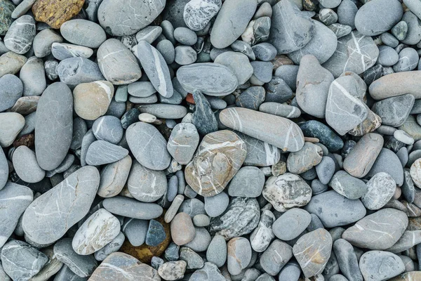 Natuur Achtergrond Van Grijze Zee Pebbles Afbeelding — Stockfoto