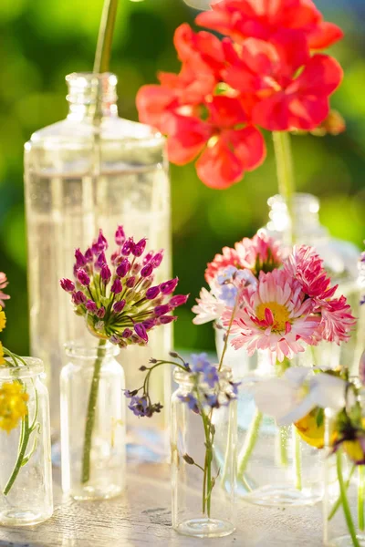 Summer Flowers Vases Close — Stock Photo, Image