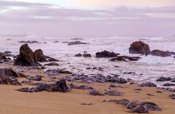 Beach Atlantic Ocean Nature — Stock Photo, Image