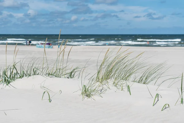 Estate Mar Baltico Natura — Foto Stock