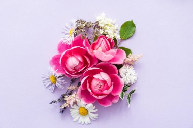 güzel yaz çiçek, yakın çekim