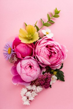 güzel yaz çiçek, yakın çekim