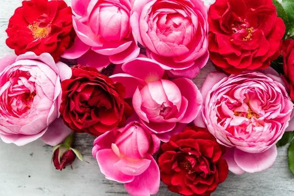 Rosas Frescas Agradáveis Close — Fotografia de Stock