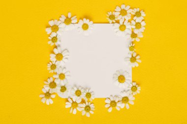 Papatya çiçek kağıt kartındaki