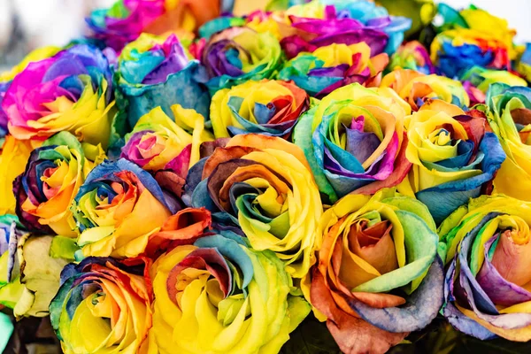 Bouquet Roses Colorées Fond Naturel — Photo