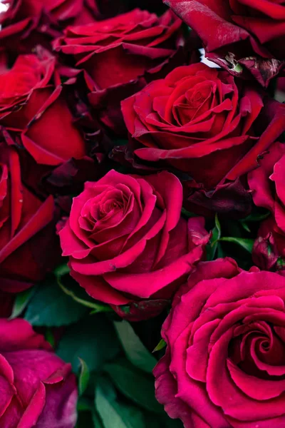 closeup of fresh red and pink roses