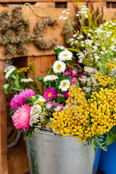 Pěkný Zahradní Květiny Plechový Kbelík — Stock fotografie