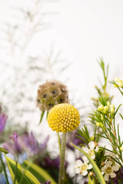 Гарний Весняний Букет Квітів Білому Тлі — стокове фото