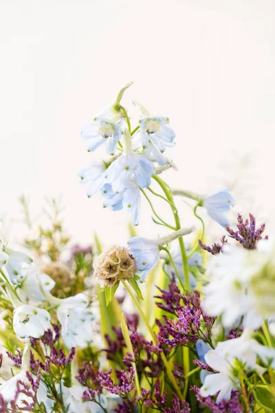 白い背景の素敵な春の花の花束 — ストック写真