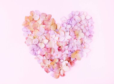 Pembe arka plan üzerinde bir kalp şeklinde bir ortanca çiçekleri