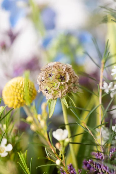 Nice Spring Flowers Bouquet White Background — Stock Photo, Image