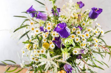 parlak yaz çiçek, yakın çekim