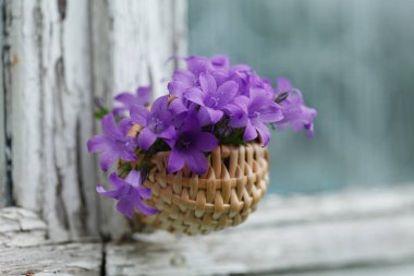 Bluebell çiçek sepeti 