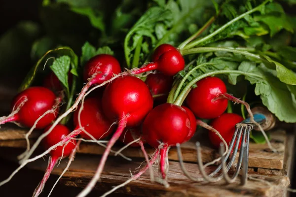 Organic Radishes Wooden Board — Stock Photo, Image