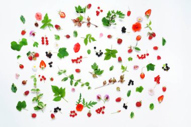 Yaz kavramı, organik meyve ve çiçek beyaz zemin üzerine