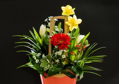 Güzel buket, kapat.