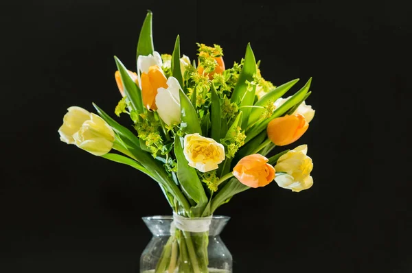 Bonitas Flores Primavera Cerca — Foto de Stock