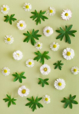 Yeşil zemin üzerine çiçek kompozisyon