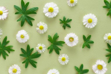 Yeşil zemin üzerine çiçek kompozisyon