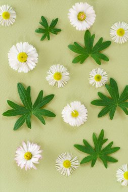 Yeşil zemin üzerine çiçek kompozisyon